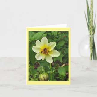 Bin på gult-dahlia-blomman meddelande
