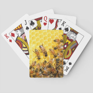 Bin på Honeycomb-uppspelningskort Casinokort
