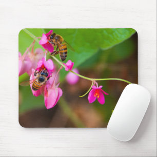 Bin på korallVineblommor fotograferar Musmatta