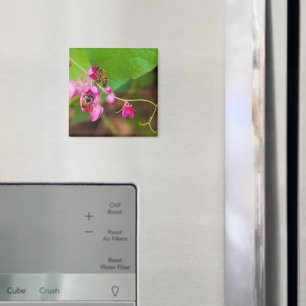 Bin på korallvinsblommor magnet