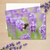 Bin på Lavender funderar på ditt vykort