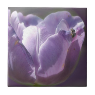 Bin på lavender Tulip Flower Nature Kakelplatta