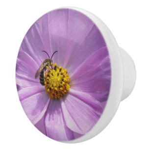 Bin på lila blomma knopp