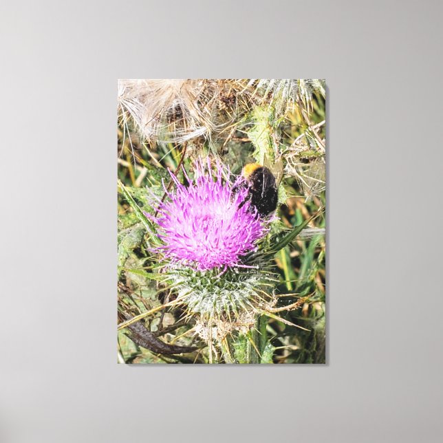 Bin på lila Thistle. Canvastryck (Framsida)