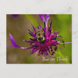 Bin på lila tistblomma vykort