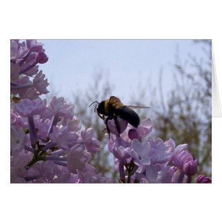 Bin på lilac hälsningskort