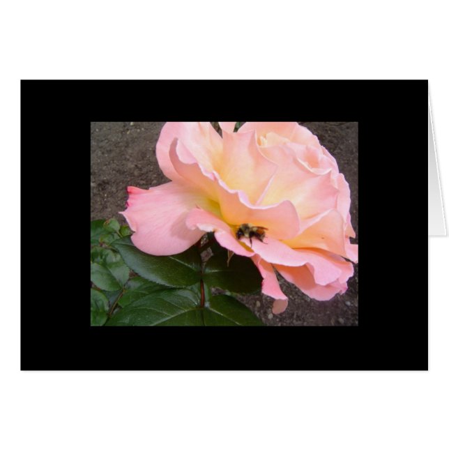 Bin på Ro OBS Kort (Framsidan Horizontal)