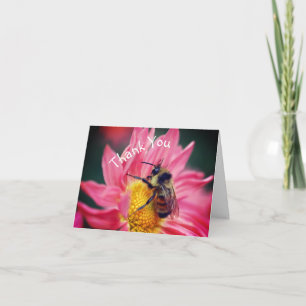 Bin på Rosa Daisy Blanka tackkort