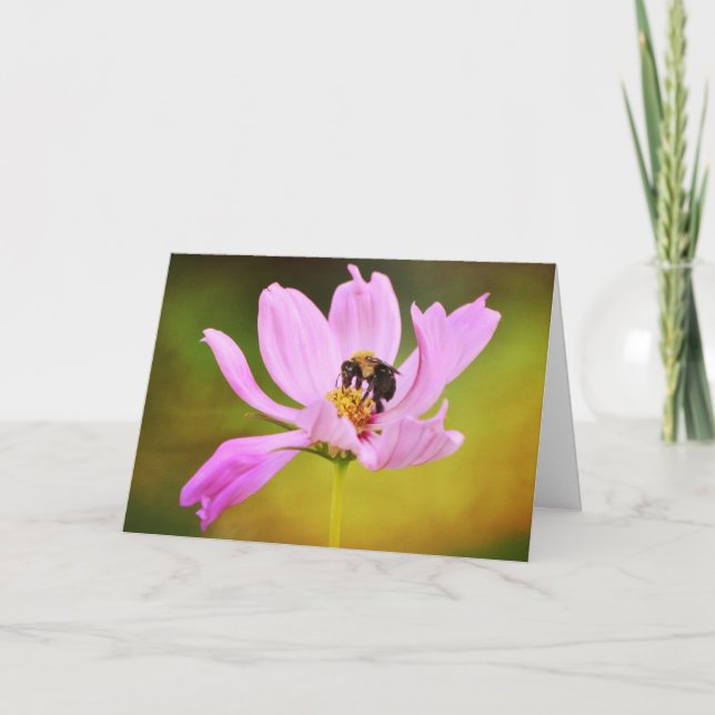 Bin på Rosa-färglös anteckningskort (Framsida)