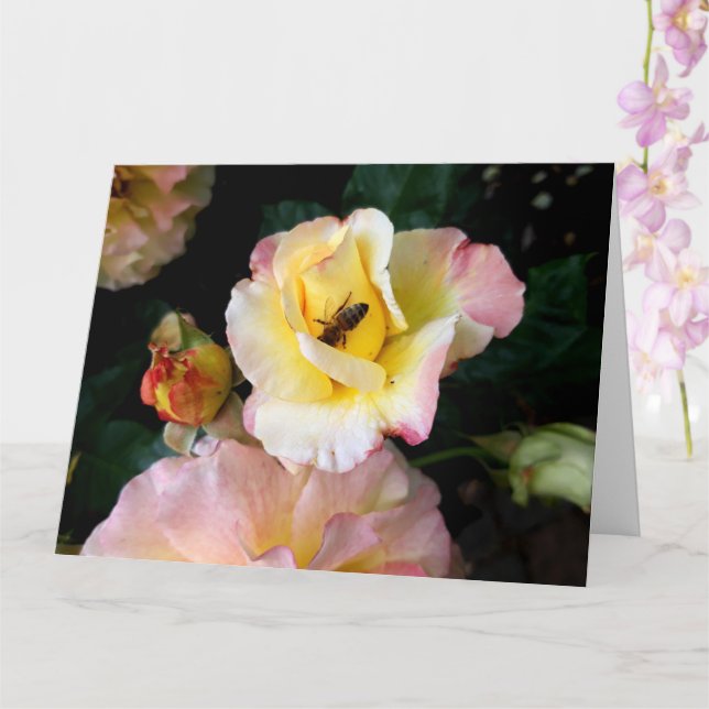 Bin på Rosa Gul ros Flowers Kort (Orkide)