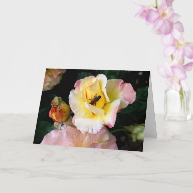 Bin på Rosa Gul ros Flowers Kort (Orkide)
