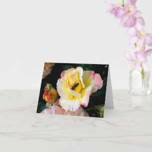 Bin på Rosa Gul ros Flowers Kort