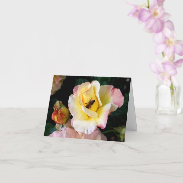 Bin på Rosa Gul ros Flowers Kort (Orkide)