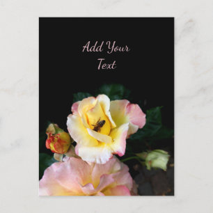 Bin på Rosa Gul ros Flowers Vykort