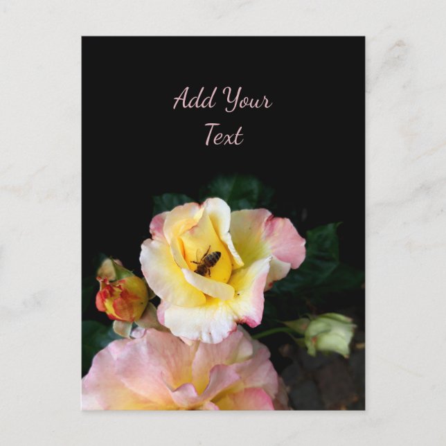 Bin på Rosa Gul ros Flowers Vykort (Framsida)