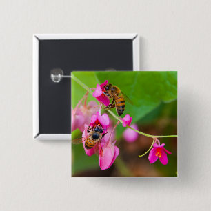 Bin på rosa korallVine blommar närbildfotoet Knapp
