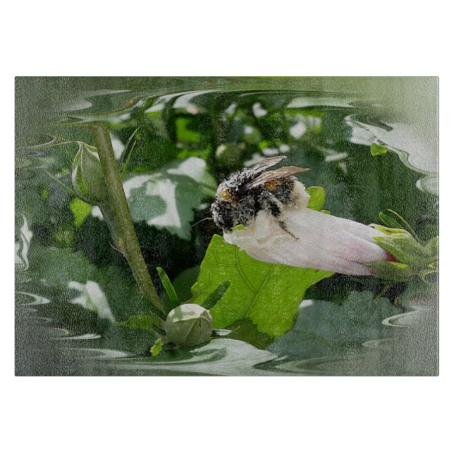 Bin på sommaren (Framsidan)