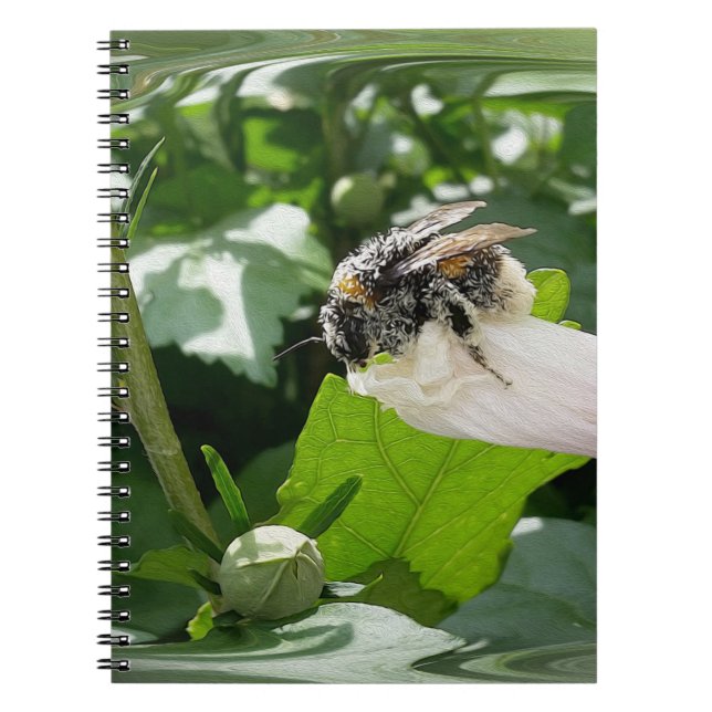 Bin på sommaren anteckningsbok (Framsidan)