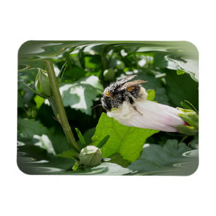 Bin på sommaren magnet