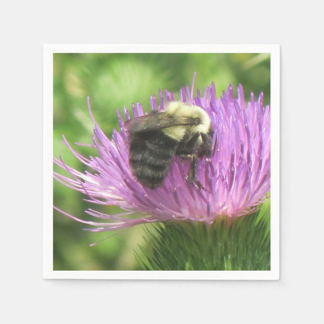 Bin på Thistle Napkin Pappersservett (Framsidan)