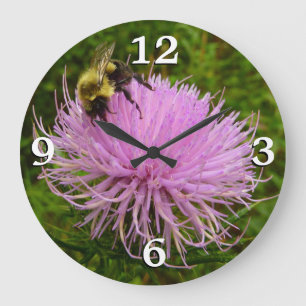 Bin på tistelflower natur stor klocka