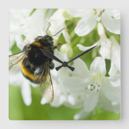 Bin på vit blomma fyrkantig klocka