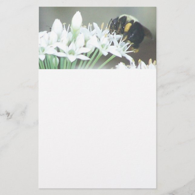 Bin på vita Blommar Brevpapper (Framsida)
