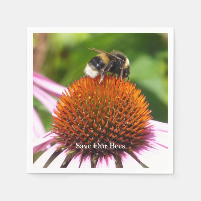 BIN PAPPERSSERVETT (Framsidan)