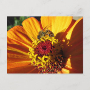Bin pollinerande blomma vykort