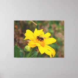 Bin pollinerar ljusgul blomma Fotografi Canvastryck