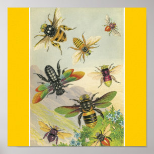 Bin Poster