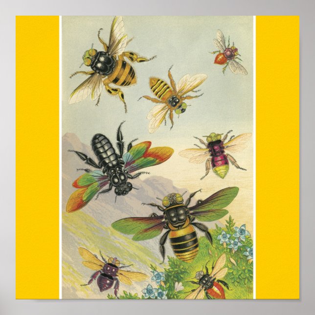 Bin Poster (Framsidan)