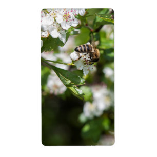 Bin samlar in pollen fraktsedel