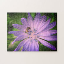 Bin som pollinerar en Lila Flower