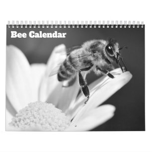 Bina 2026 kalender