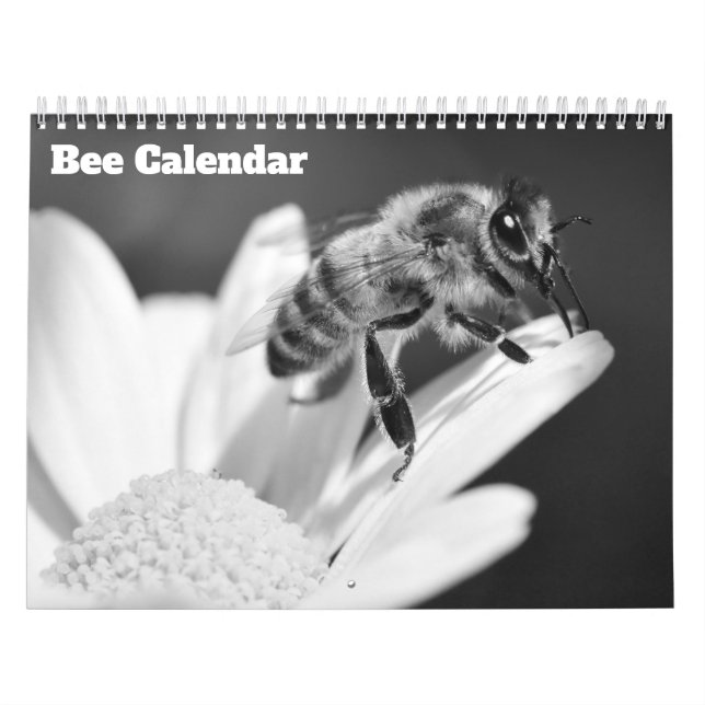 Bina 2026 kalender (Omslag)