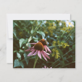 Bina & Echinacea Anteckningskort