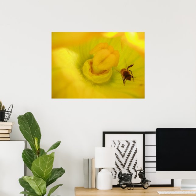 Bina Inom Zucchiniblomsutskrift Poster (Hemmakontoret)