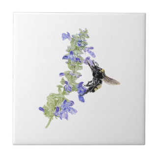 Bina och blå salvia kakelplatta