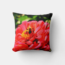 Bina och korallzinnia