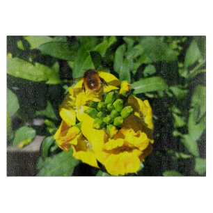 Bina på gula blommor