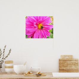 Bina på Rosa Dahlia Blommig Fotografisk Poster