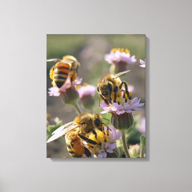 Bina samlar pollen från vilda blommor på gården canvastryck (Framsida)