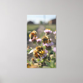 Bina samlar pollen från vilda blommor på gården canvastryck