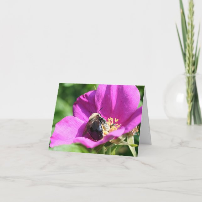 Binaer På Rosa Ros Naturfotografering Notering Kort (Framsida)