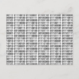 Binär: I Kärlek till program