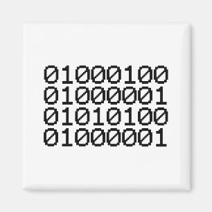 BINÄRA DATA MAGNET