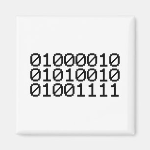 BINARY BRO MAGNET