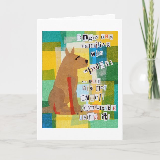 Binary Dingo Kort (Framsida)