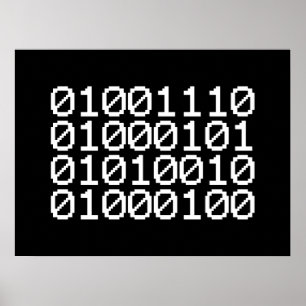 BINARY NERD POSTER